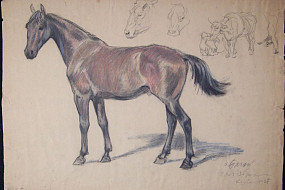 Untitled Horse Drawing